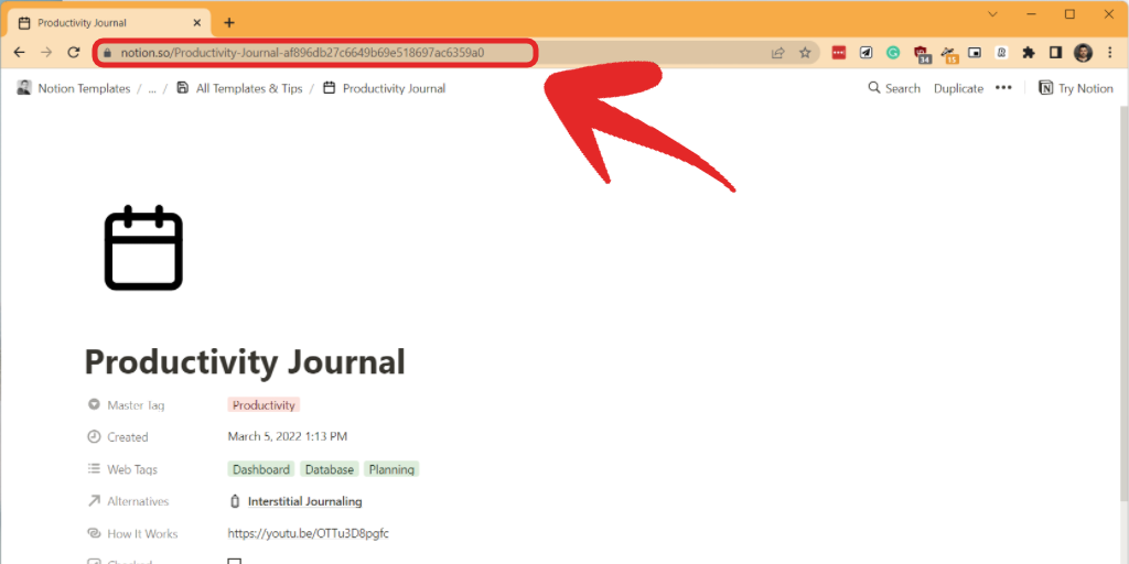 Never Productive How To Duplicate A Notion Template 